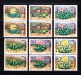 Cumpara ieftin RO 1997 LP 1433 &quot;Cactusi&quot;, serie pereche V , MNH, Organizatii internationale, Nestampilat