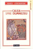 CALEA SPRE DUMNEZEU. REFLECTII PSIHOLOGICO-SPIRITUALE ASUPRA ANUMITOR FORME DE EXPERIENTA RELIGIOASA-MIHALY-343281