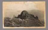 CPIB 20949 CARTE POSTALA - SINAIA, STANA DIN PIATRA ARSA 1931, Circulata, Fotografie