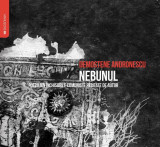 Nebunul (audiobook) Demostene Andronescu - Paperback brosat - Demostene Andronescu - Manuscris, 2021