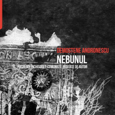 Nebunul (audiobook) Demostene Andronescu - Paperback brosat - Demostene Andronescu - Manuscris
