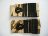 C3 - Grade militare parasutism - mozaic - colonel parasutist
