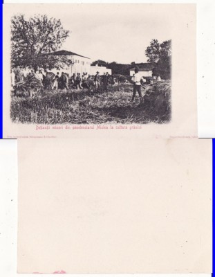 Mislea (Prahova) -Penitenciarul de minori- rara foto
