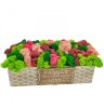 Aranjament floral personalizabil cu licheni stabilizati in cutie cadou (Multicolor), Eventissimi&reg;