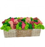Aranjament floral personalizabil cu licheni stabilizati in cutie cadou (Multicolor), Eventissimi&reg;