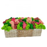 Aranjament floral personalizabil cu licheni stabilizati in cutie cadou (Multicolor)