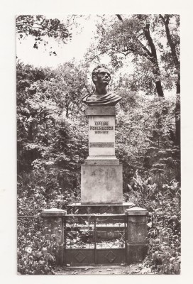 RF67 -Carte Postala- Suceava, Statuia lui Ciprian Porumbescu, circulata 1969 foto