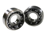 Rulmenti ambielaj stihl: ms 340, 341, 360, 361 (6202 + 15x35x13) - (2 piese)