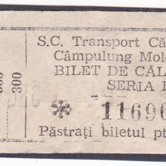 BILET VECHI - AUTOBUZ S.C. TRANSPORT CALATORI CAMPULUNG MOLDOVENESC