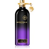 Montale Intense Starry Nights extract de parfum unisex 100 ml