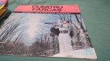 DISC VINIL DUMITRU FARCAS -EPE 02563 -DISC STARE FOARTE BUNA CHIAR EXCELENT