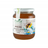 Miere de munte cruda 500 g