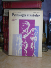 URSULA SCHIOPU / EMIL VERZA - PSIHOLOGIA VARSTELOR ( CICLURILE VIETII ) , 1981 * foto