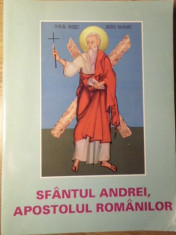 SFANTUL ANDREI, APOSTOLUL ROMANILOR - FARA AUTOR foto