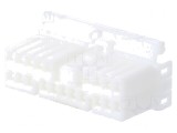 &#039;Conector Plug 20P MLC&#039;, TE Connectivity