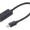 Adaptor DisplayPort la HDMI 0.15m Negru
