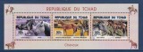 CHAD 2015 FAUNA ANIMALE DOMESTICE CAI