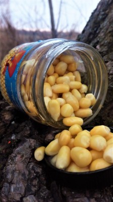 Timar - Porumb Borcan fara Zeama - Ciocolata Portocale (220ml) foto