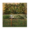 Gard Decorativ Lemn cu Frunze, 170x90cm, 50 LED Alb, 8 Functii, Solar. Panou, Paravan Lumina Ambientala Gradina, Curte