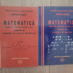 Mircea Ganga - Matematica Manual pentru clasa a XII-a, profil M1 (2 volume)