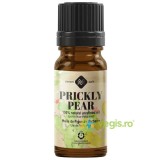 Ulei din Seminte de Cactus (Prickly Pear) Presat la Rece 10ml