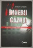 Ingerii Cazuti - Cristian Sandache, Corint 2010, Istorie