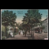 Carte poștală veche Oradea - Vedere Stradala Pietonala - 1919