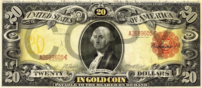 20 dolari 1905 Reproducere Bancnota USD , Dimensiune reala 1:1