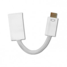 Adaptor Qoltec Mini DVI Male/ HDMI Female 15cm white foto