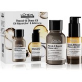 L&rsquo;Or&eacute;al Professionnel Serie Expert Absolut Repair Molecular set cadou pentru par deteriorat