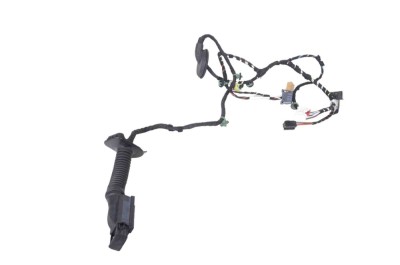 Cablaj ușă dreapta față VW T-ROC A11 2022 OEM: 2GB971121AN 21481361 foto