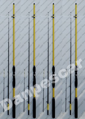 SET 4 Lansete Feeder ROBINHAN BOLENTINO PLUS 2,70 m 100-200gr cu 2 Varfuri foto
