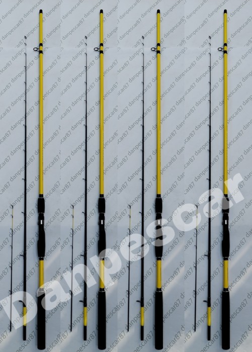 SET 4 Lansete Feeder ROBINHAN BOLENTINO PLUS 2,70 m 100-200gr cu 2 Varfuri