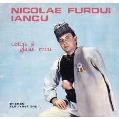 Nicolae Furdui Iancu &ndash; Cetera si glasul meu