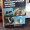 DESPRE VIATA SI COMPORTAMENTUL ANIMALELOR DOMESTICE - ERICH KOLB