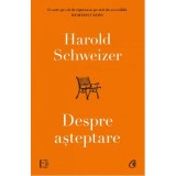 Despre asteptare - Harold Schweizer