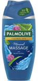 Cumpara ieftin Gel De Dus, Palmolive, Mineral Massage, 500 ml