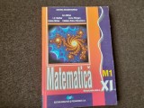 ION MIHAI I V MAFTEI MATEMATICA MANUAL PENTRU CLASA A XI A M1 P4