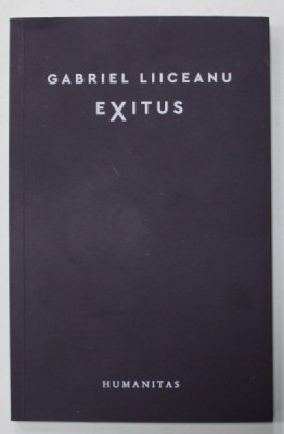 EXITUS de GABRIEL LIICEANU , 2023 foto