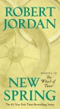 New Spring | Robert Jordan