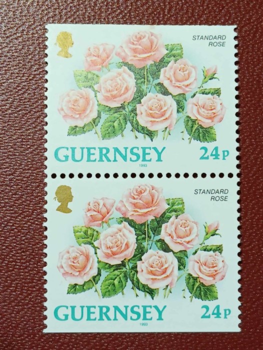 Guernsey 1993 - trandafiri, pereche neuzata