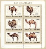 COMORE 2009 - Camile /set complet - bloc + colita MNH (2 imagini)