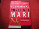 Companii mici, profituri mari. Cum sa sporesti - Nick Rampley-Sturgeon