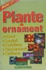 PLANTE DE ORNAMENT. SOLURI, LUMINA, UMIDITATE, TEMPERATURA, PERIOADE-ADRIAN ALEXANDRU-236366