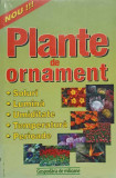 PLANTE DE ORNAMENT. SOLURI, LUMINA, UMIDITATE, TEMPERATURA, PERIOADE-ADRIAN ALEXANDRU