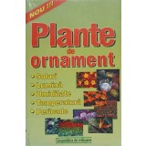 PLANTE DE ORNAMENT. SOLURI, LUMINA, UMIDITATE, TEMPERATURA, PERIOADE-ADRIAN ALEXANDRU-236366