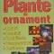 PLANTE DE ORNAMENT. SOLURI, LUMINA, UMIDITATE, TEMPERATURA, PERIOADE-ADRIAN ALEXANDRU