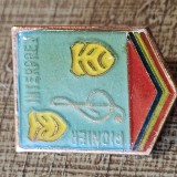 Romania insigna pionier interpret