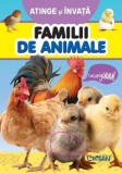 Familii de animale (Atinge si invata)