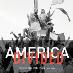 America Divided: The Civil War of the 1960s